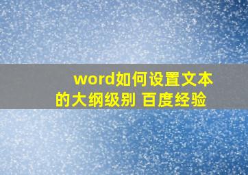 word如何设置文本的大纲级别 百度经验